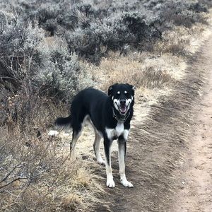 Meet your Posher, Douglas